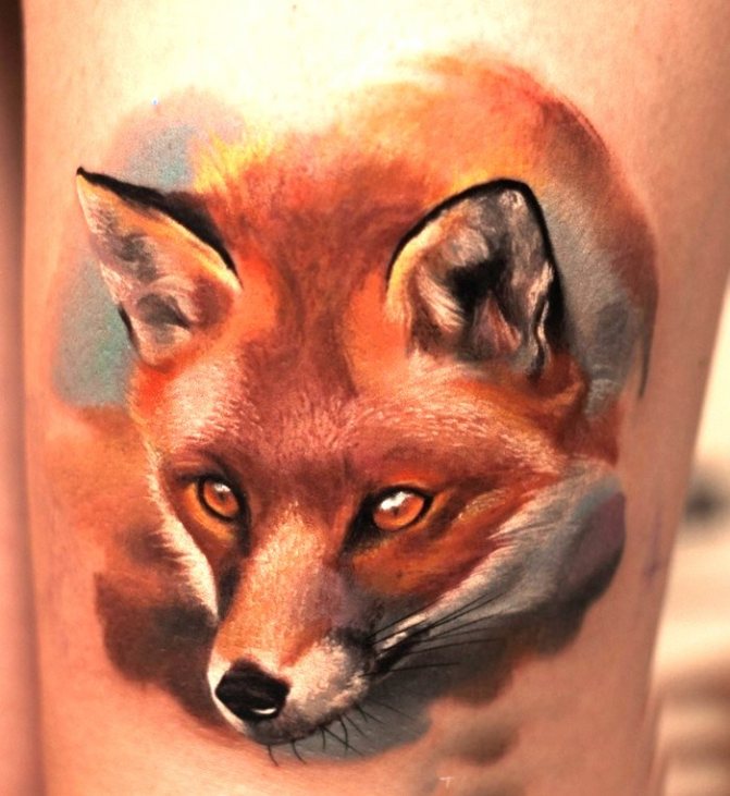 Realism forearm tattoo fox