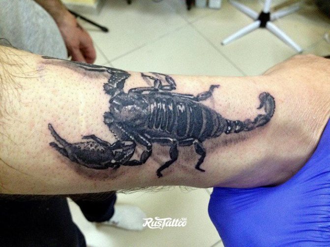Skorpió tetoválás fekete színben az alkaron