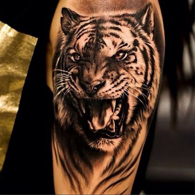 Tatouage d'un lion sur la main