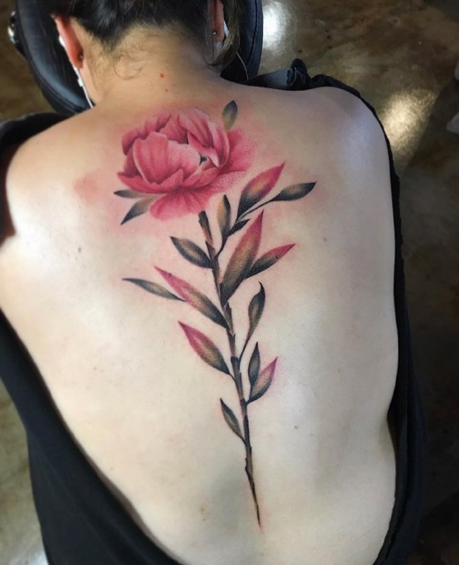 Tetoválás a háton a lányok számára