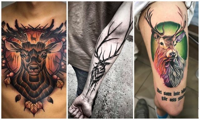 Tatuaggio di un cervo. Foto, cosa significa, schizzi per ragazze, uomini sul braccio, gamba, coscia