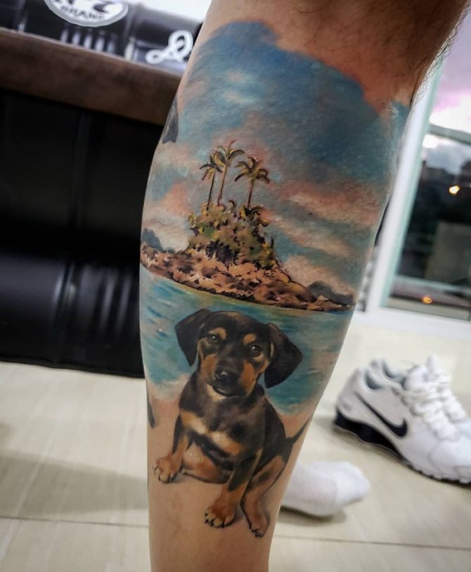 tetovált juhászkutya