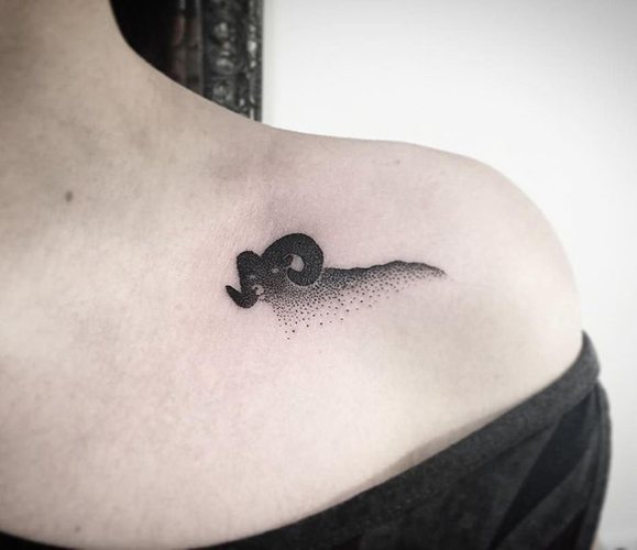 Tatouage Bélier pour les filles. Croquis, photo, valeur sur le bras, le cou, la jambe, la clavicule, le dos, l'abdomen