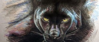 パンサータトゥー