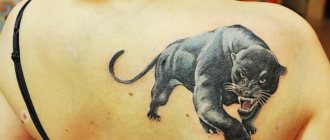 Tatuaje de pantera para niñas. Significado, foto, en el brazo, la pierna, el hombro, la espalda, la zona lumbar