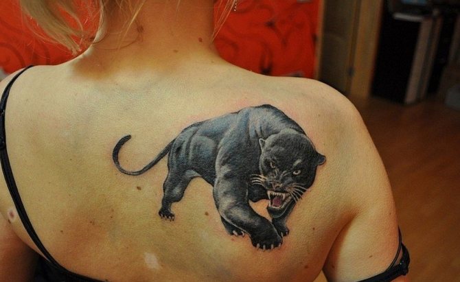 Tatouage d'une panthère sur une fille