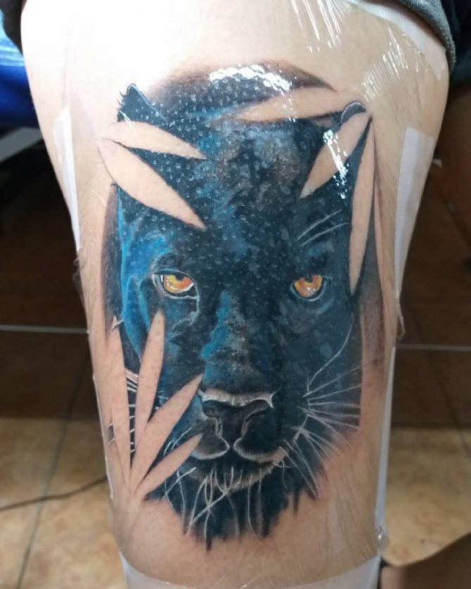 tatuaje pantera