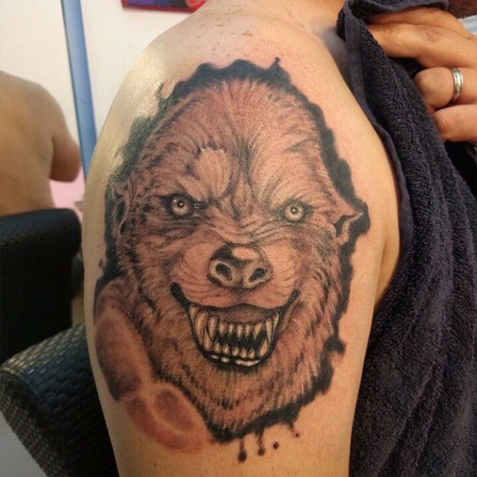 tetoválás partak morog vadállat