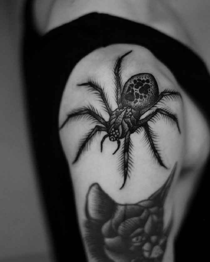 tattoo spider - tattoo spider - meaning of tattoo spider - tattoo spider sketches - tattoo with a spider photo