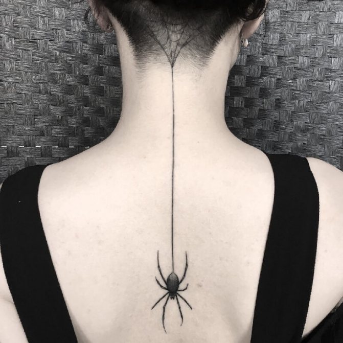 tattoo spider - tattoo spider - signification tattoo spider - croquis tattoo spider - photo tattoo spider