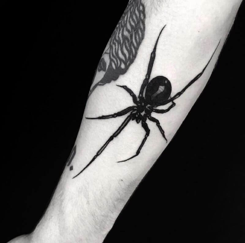 tattoo spider - tattoo spider - signification tattoo spider - croquis tattoo spider - photo tattoo spider