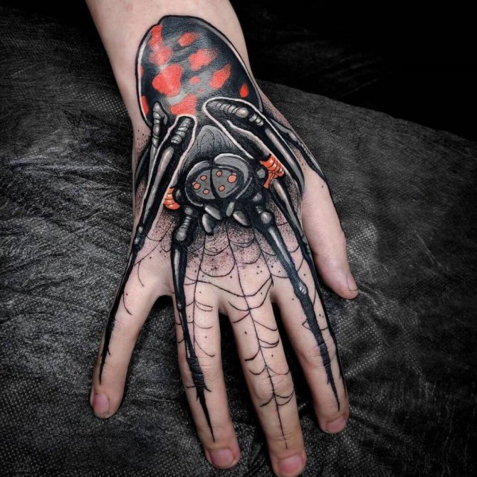 Tatouez une araignée sur votre bras