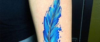 Tatouage d'une plume