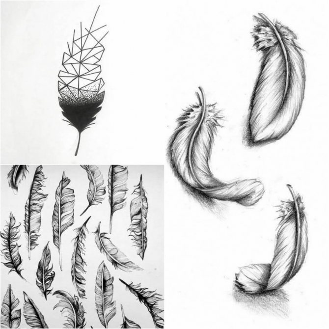 Plume de tatouage - Plume de tatouage - Plume de tatouage - Croquis de plume de tatouage