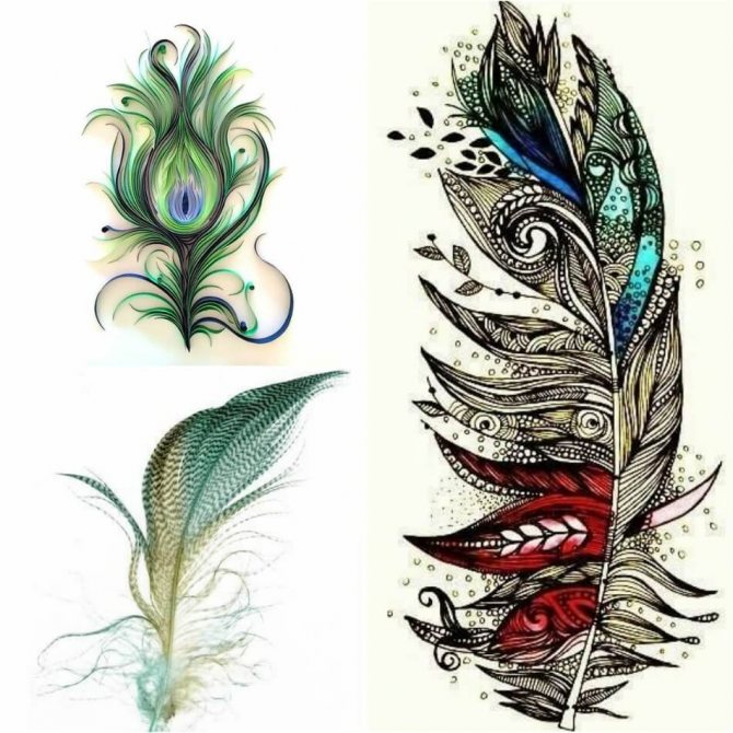 Tatouage d'une plume - Tatouage d'une plume - Tatouage d'une plume - Esquisse de tatouage d'une plume