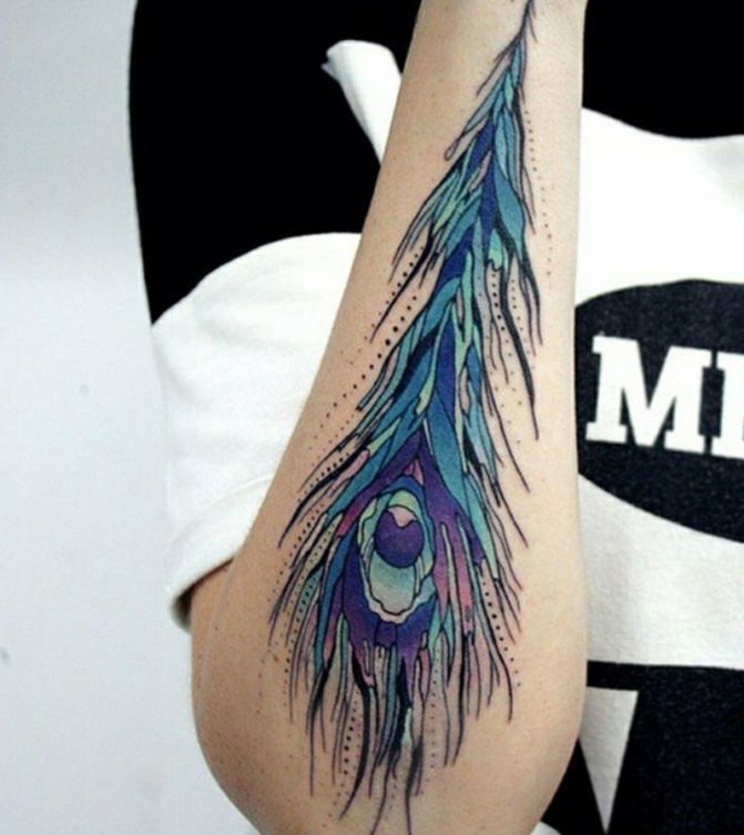Tatouage d'une plume - Tatouage d'une plume - Tatouage d'une plume de paon