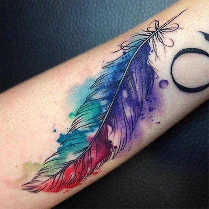 Plume de tatouage - Plume de tatouage - Plume de tatouage