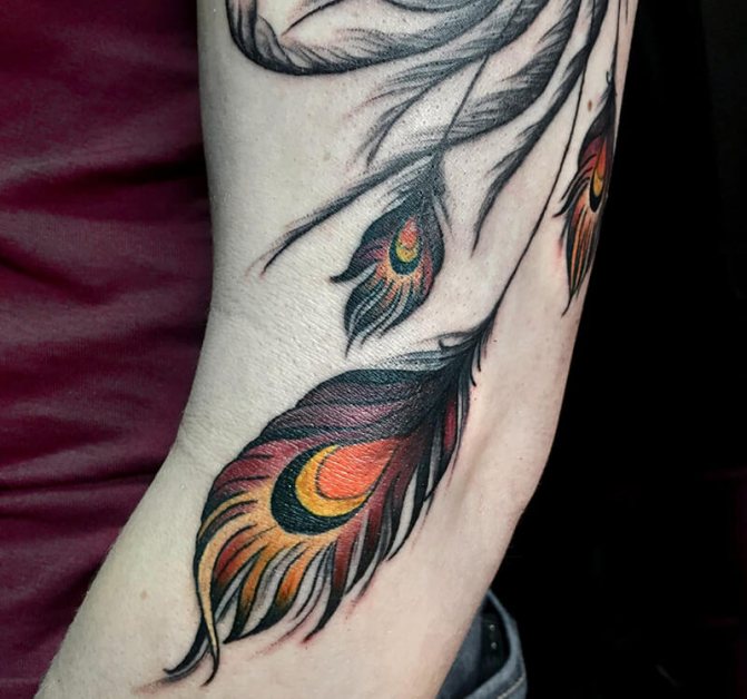 Tatouage d'une plume - Tatouage d'une plume