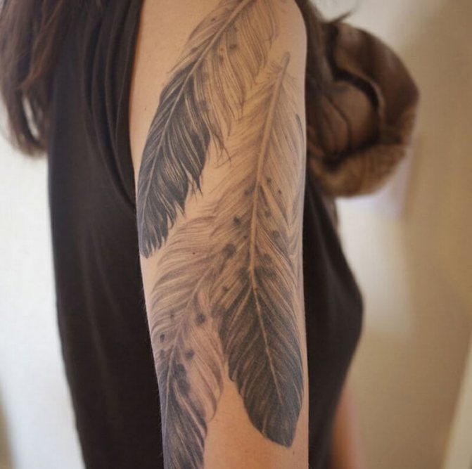 Tatouage d'une plume - Tatouage d'une plume