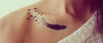 Tatouage plume - signification chez les filles avec mot, oiseaux, paon sur le pied, la main, le poignet, le ventre, le cou, le dos, la clavicule, sur le côté.