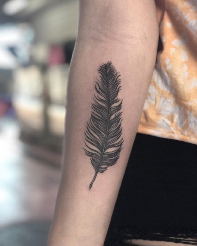tatouage d'une plume