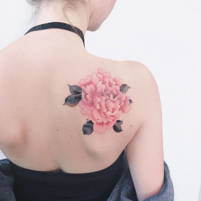 tetoválás bazsarózsa