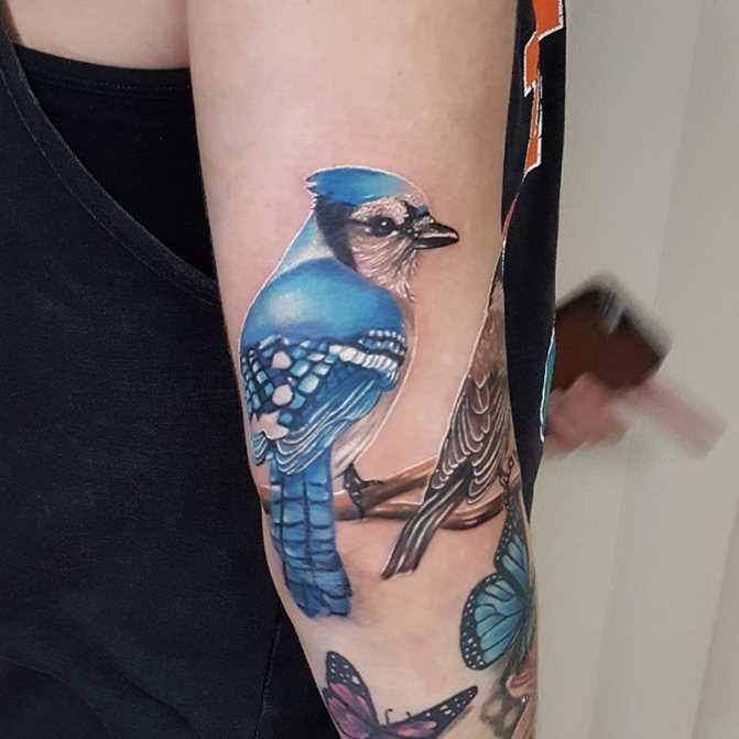 Tattoo Bird - Tatuaje de un pájaro - Tatuaje de un pájaro