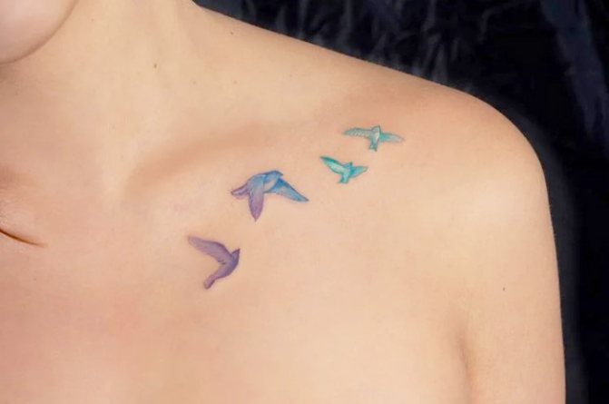 Tattoo birds on the collarbone. Picture, meaning, sketches