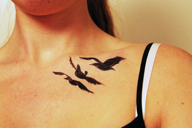 Tattoo of birds on the collarbone. Photos, meaning, sketches