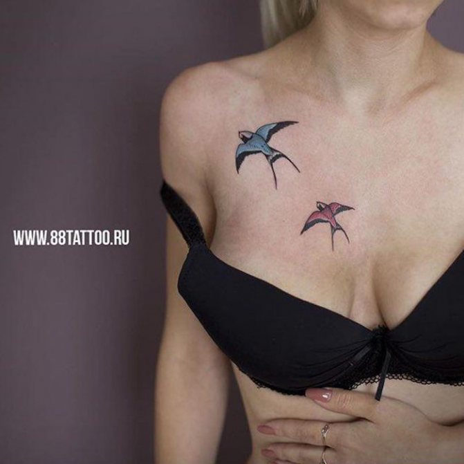 tatouage d'une hirondelle