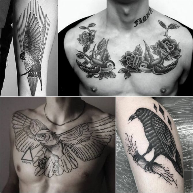 Tatuaje de pájaros - Tatuaje de pájaros para hombres - Tatuaje de pájaros para hombres