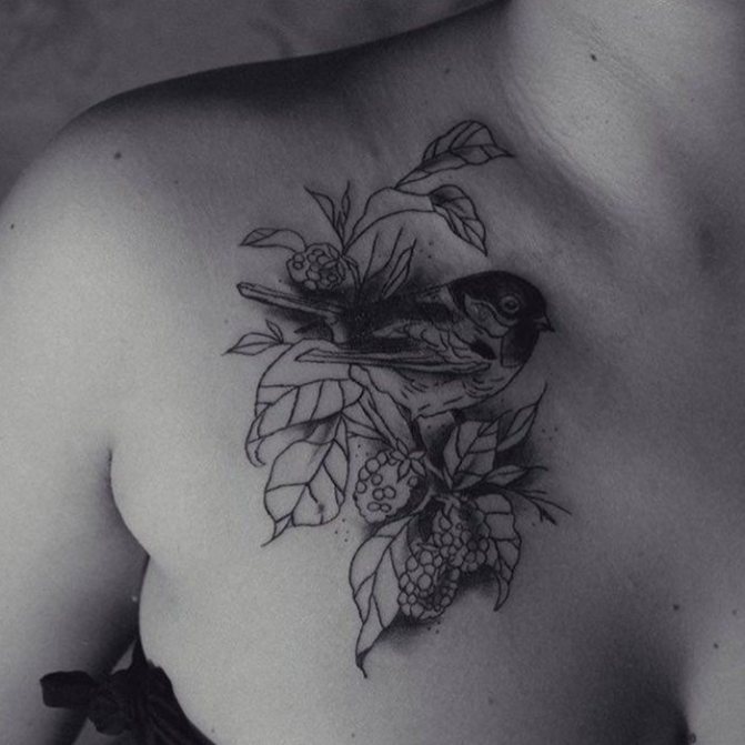 tatouage d'un oiseau sur la poitrine