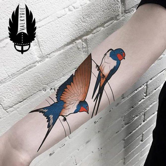 Oiseaux tatoués sur le bras des hirondelles