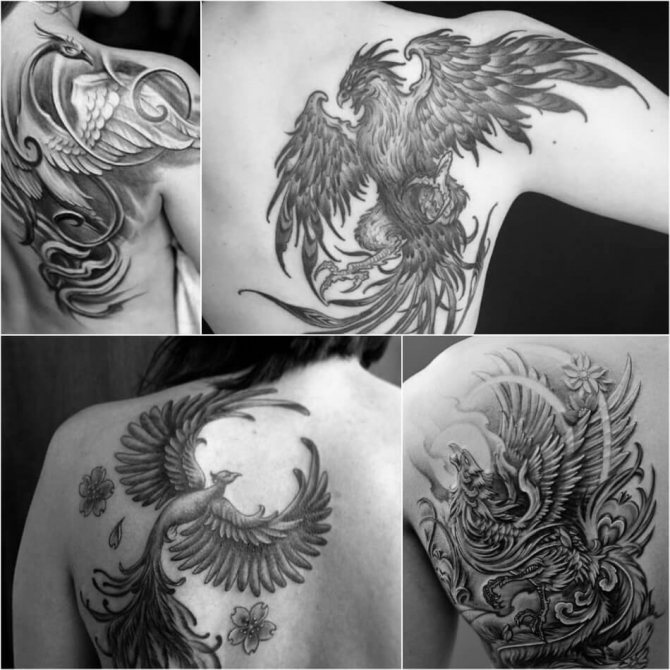 Tattoo oiseaux - Tattoo phoenix - Tattoo phoenix