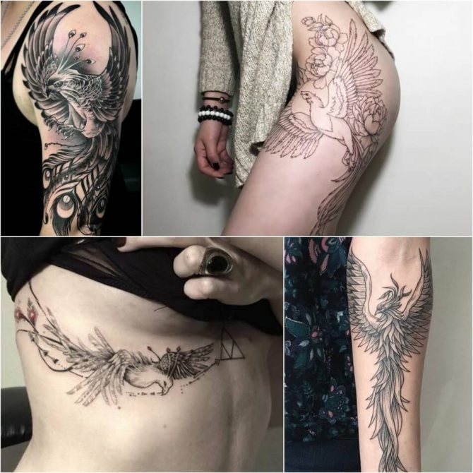 Tatuajes de pájaros - Tatuajes phoenix - Tatuajes phoenix