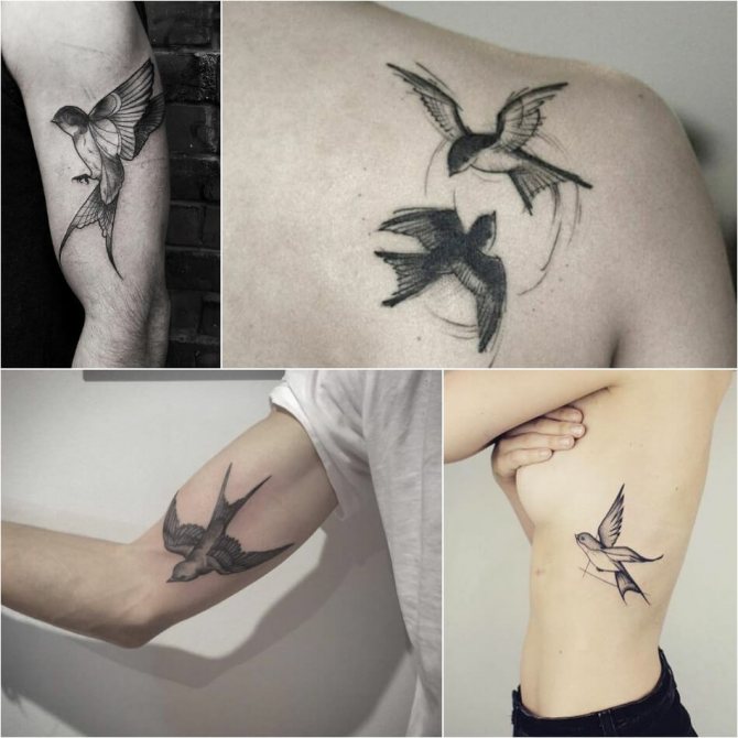 Tatuajes de pájaros - Tattoo Swallow - Tattoo Swallow