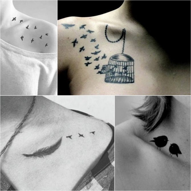 Tetovált madarak - Tetovált madarak a kulcscsonton - Tetovált madarak a kulcscsonton