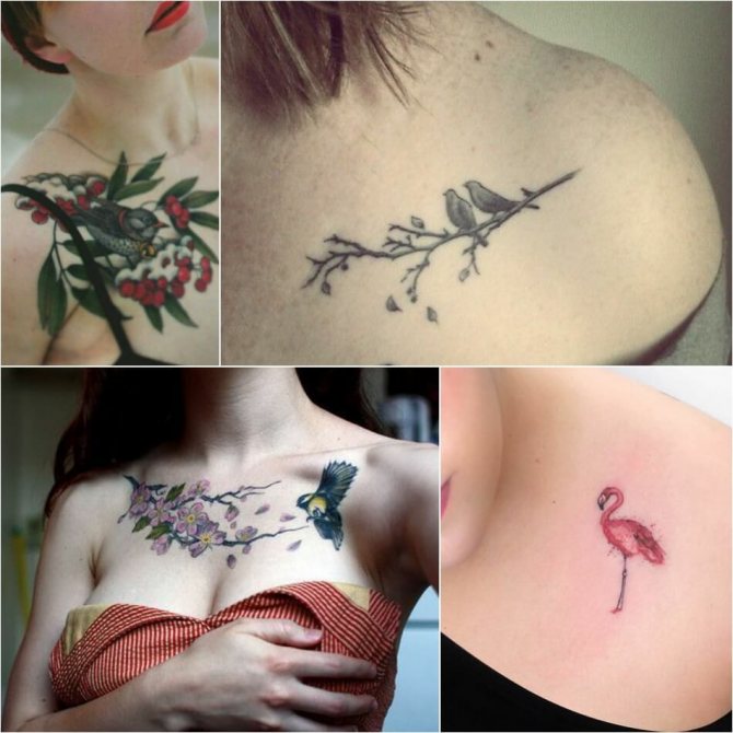 Madár tetoválás - madár tetoválás a kulcscsonton - madár tetoválás a kulcscsonton