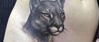 Tattoo Puma