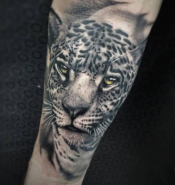 Tattoo Realism - Tattoo Realism - Tattoo Style Realism - Tattoo Realism Animals