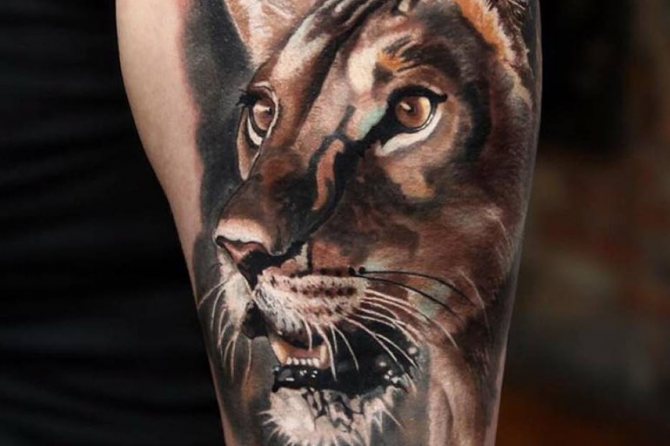 Realism tattoo