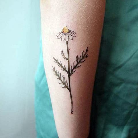 Tätoveeringu marekana