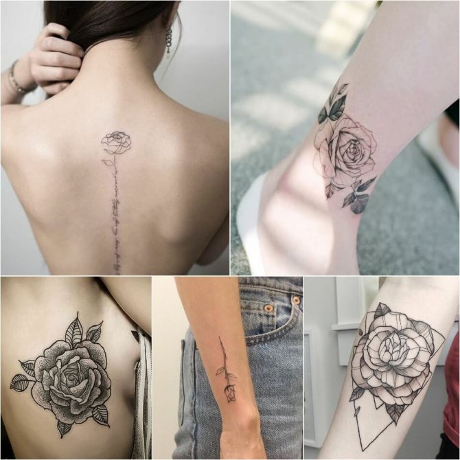 Tatuaje de rosa - Tatuaje de rosa para niñas - Tatuaje de rosa para mujeres