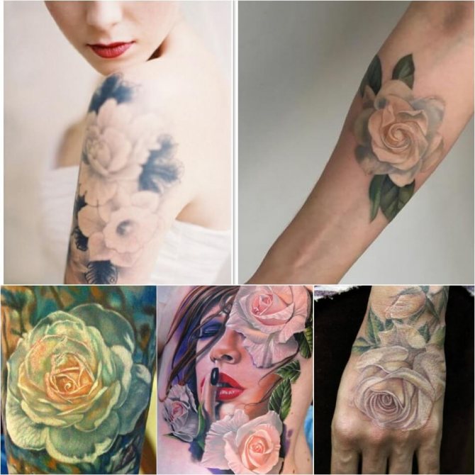 Tatuaje Rosa - Significado de los colores de la rosa - Tatuaje Rosa Blanca