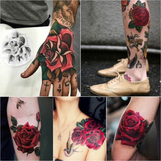 Tattoo Rose - Tattoo Rose Color Meaning - Tattoo Red Rose
