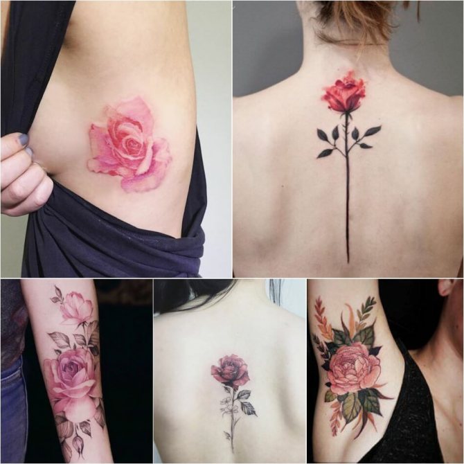 Tatuaje Rosa - Significado del color de la rosa en el tatuaje - Tatuaje Rosa Rosa