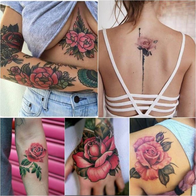 Tatuaje rosa - Significado del color de la rosa en el tatuaje - Tatuaje rosa