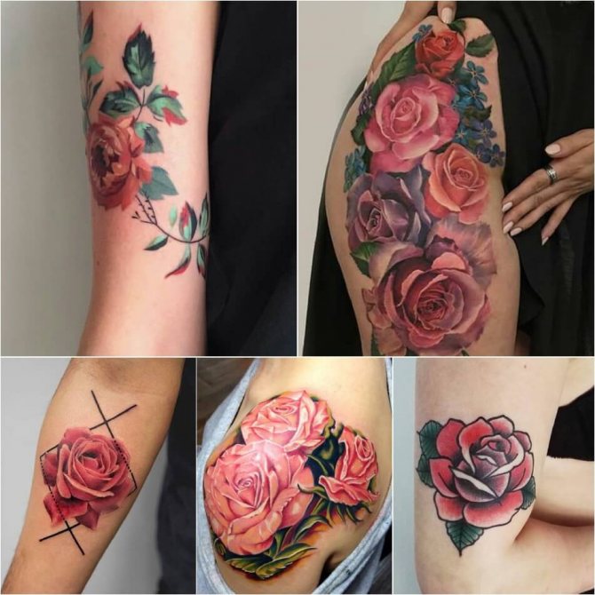 Tatuaje rosa - Significado del color de la rosa en el tatuaje - Tatuaje rosa