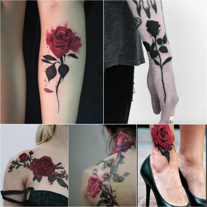 Tattoo Rose - Tattoo Rose Meaning - Tattoo Rose without Spikes - Tattoo Rose without Spikes meaning