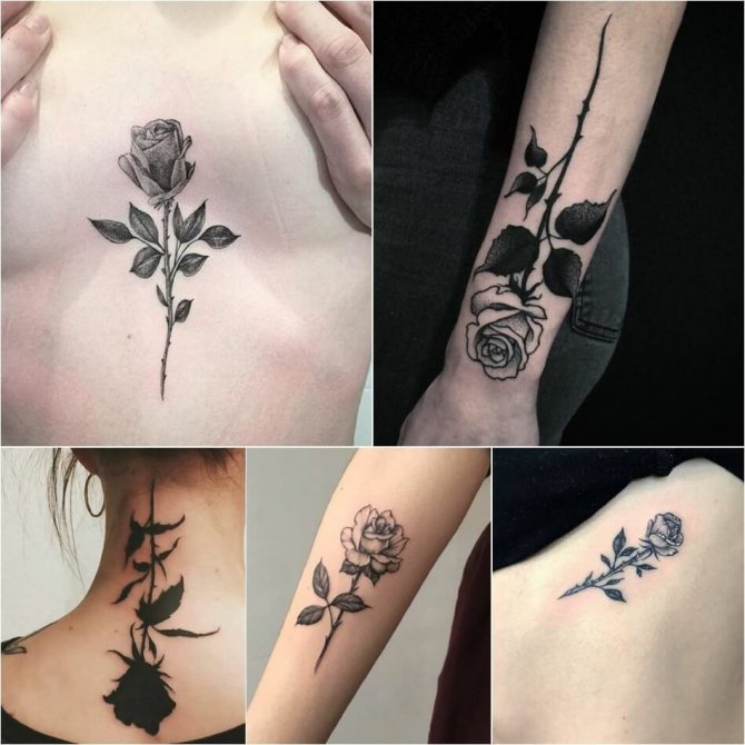 Tattoo Rose - Tattoo Rose Significato - Tattoo Rose con punte - Tattoo Rose con punte Significato